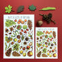 Nuts And Seeds Of Britain Postcard, thumbnail 2 of 8