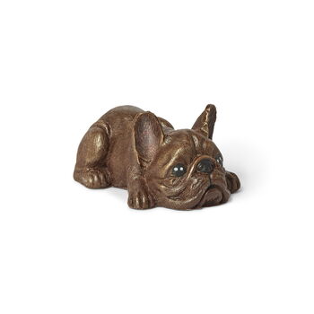 Solid Chocolate French Bulldog, 4 of 5