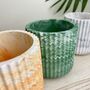 Emerald Green Ridged Storage Pot With Lid, thumbnail 6 of 6