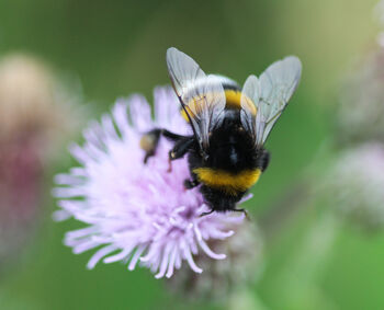 Happy Christmas Wildflower Seed Eco Stocking Fillers, 11 of 11