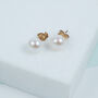 Thurloe White Pearl And 9ct Gold Stud Earrings, thumbnail 1 of 5