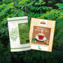 Moringa Ginger Tea 40 Bags Digestion Energy, thumbnail 8 of 9