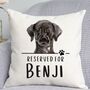Reserved For Black Labrador Cushion, thumbnail 1 of 2