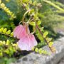 Pippa Glass Petal Pink Hinged Hoop Earrings, thumbnail 4 of 5