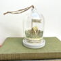 Personalised Camping Under The Stars Glass Dome Gift, thumbnail 10 of 10