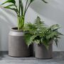 Warm Stone Fibre Clay Planter, thumbnail 1 of 2