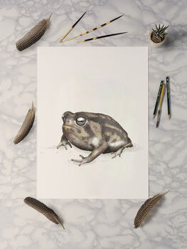 Namaqua Rainfrog Giclée Print, 3 of 3
