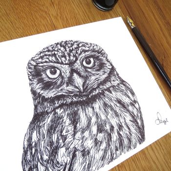 Little Owl Pen And Ink Illustration Framed Print, 3 of 3