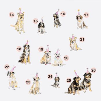 My Favourite Human Dog Card Corgi *Various Dog Breeds, 3 of 7