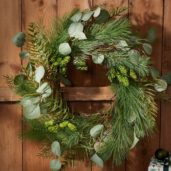 Botanical Beauty Deluxe Evergreen Wreath, 4 of 8