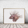 Red Lionfish Giclée Art Print, thumbnail 1 of 2