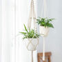 Pack Of Two Cotton Rope Macrame Hanging Planters, thumbnail 1 of 4