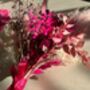Pink Dried Flower Bouquet, thumbnail 6 of 10