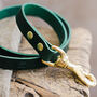 Personalised Leather Dog Leash With Brass Hardware, thumbnail 2 of 7