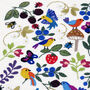 Birds, Bugs And Berries, Hand Embroidery Kit, thumbnail 4 of 12