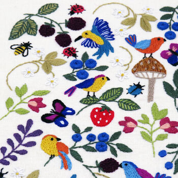 Birds, Bugs And Berries, Hand Embroidery Kit, 4 of 12