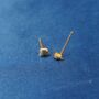 Tiny Gold Bear Stud Earrings, Kids Small Studs, thumbnail 5 of 7