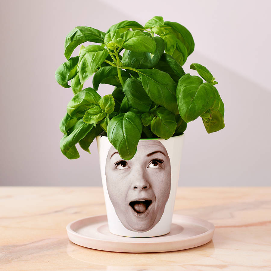 personalised 'face plant' photograph plant pot by snapdragon