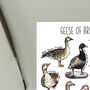 Geese Of Britain Watercolour Postcard, thumbnail 3 of 8