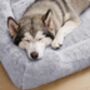 Dog Sofa Bed Washable Pet Cushion Bed, thumbnail 4 of 6
