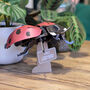 Build Your Own Personalised Ladybird Kit, thumbnail 2 of 12