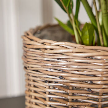 Round Woven Wicker Plant Pot, 6 of 8