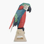 Create Your Own Parrot On A Perch, thumbnail 6 of 7