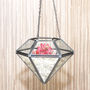 Hanging Diamond Vase Terrarium, thumbnail 3 of 5