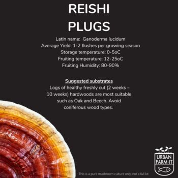 Reishi Mushroom Plug Spawn. Buy Mushroom Dowels, 4 of 4