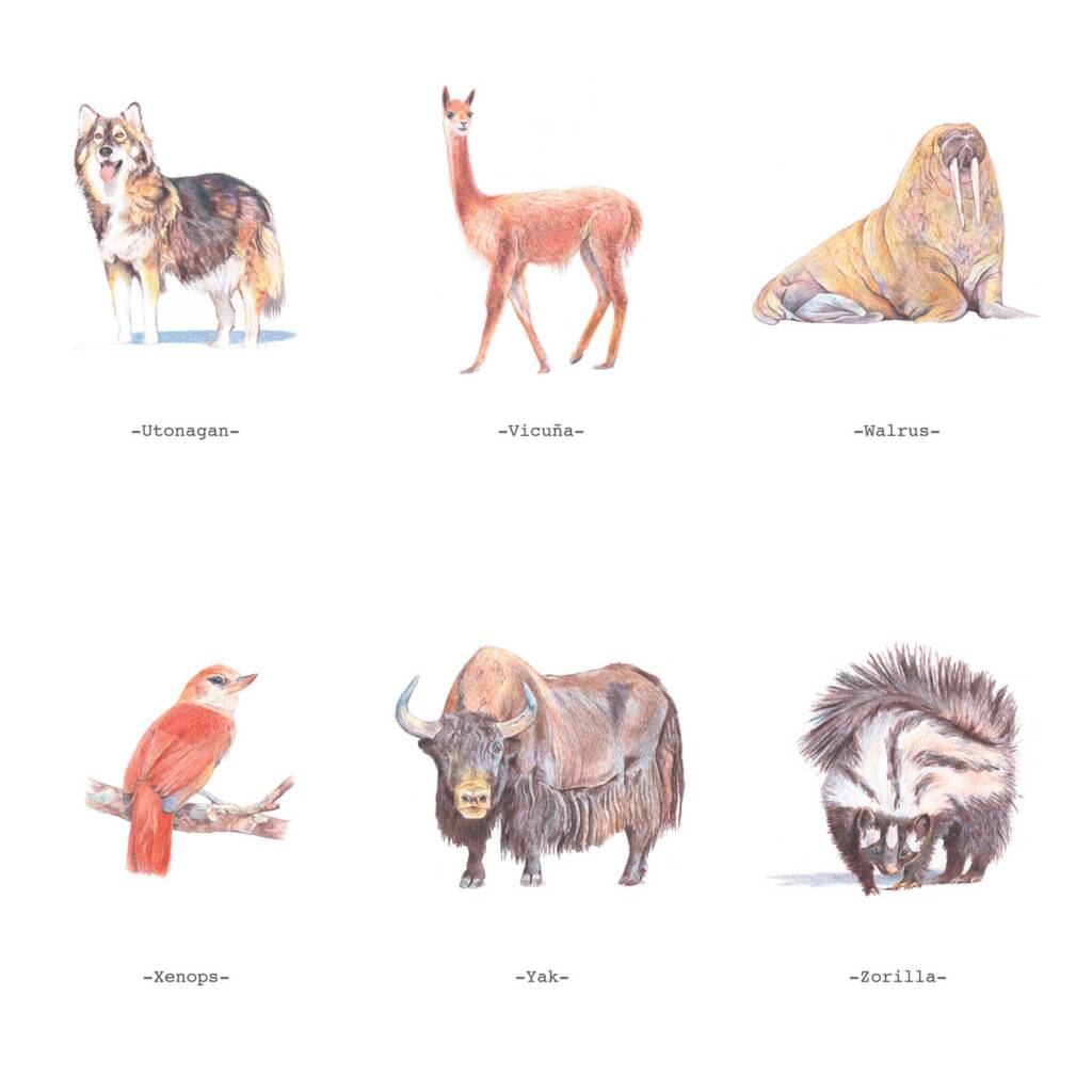 A To Z Animals Greetings Cards By Jenny Jackson Illustration |  