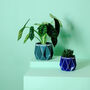 Two Origami Self Watering Eco Plant Pots, thumbnail 1 of 12
