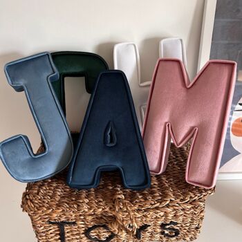 Velvet Fabric Letters, 3 of 7