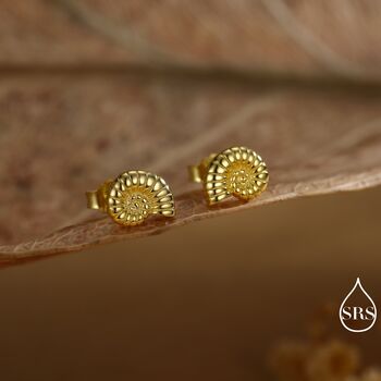 Sterling Silver Ammonite Shell Stud Earrings, 4 of 12
