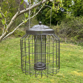 Squirrel Proof Hanging Bird Seed And Nut Feeders, 6 of 9
