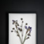 Wild Fade Original Pressed Flower Art In A3 Black Frame, thumbnail 2 of 8