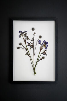 Wild Fade Original Pressed Flower Art In A3 Black Frame, 2 of 8