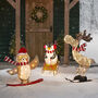 Christmas Penguin, Owl And Moose Outdoor Figures, thumbnail 2 of 2