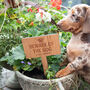 Personalised Beware Of The Dog Solid Cherry Wood Sign, thumbnail 2 of 8