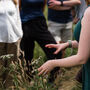 Autumn Foraging Workshop For One In The South Downs, thumbnail 9 of 12