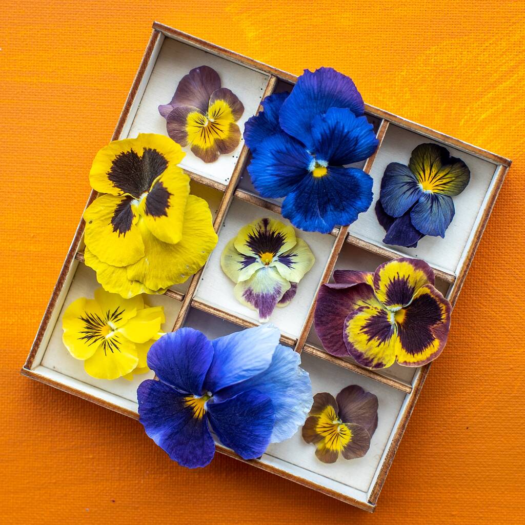 Edible Freeze Dried Pansy Flowers Large By Polly's Petals