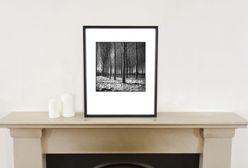 Trees, Beccles, Suffolk Photographic Art Print, 2 of 4