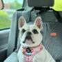 Cottage Floral Dog Harness, thumbnail 3 of 7