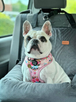 Cottage Floral Dog Harness, 3 of 7