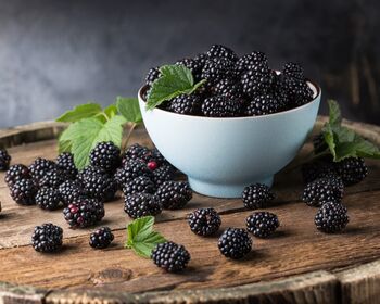 Fruit Plants Blackberry, 5 of 7