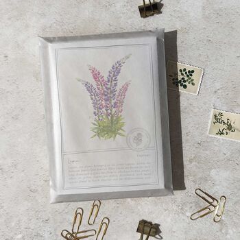 Botanical Wildflowers Postcards Gift Set, 7 of 10