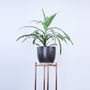 Tall Square Copper Plant Stand, thumbnail 2 of 3