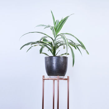 Tall Square Copper Plant Stand, 2 of 3