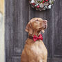 Christmas Velvet Dog Bow Tie, thumbnail 3 of 12