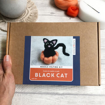 Needle Felted Black Cat Kit, 3 of 7