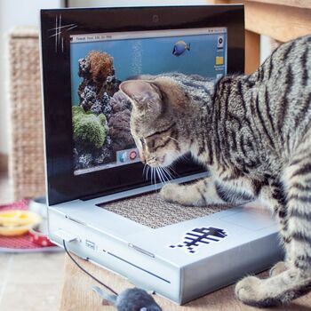 Cardboard Laptop Cat Scratch Toy, 2 of 3